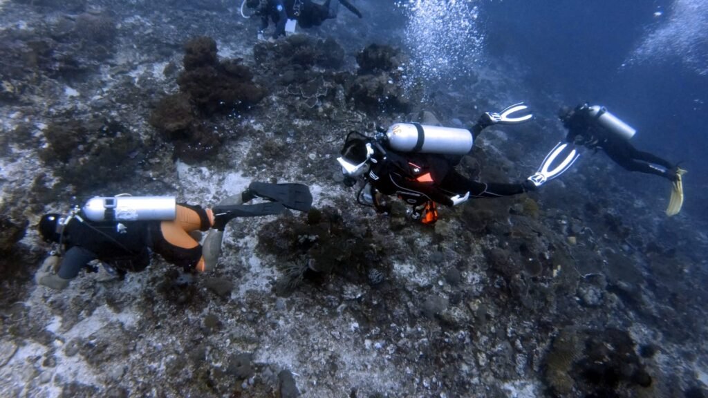 aa9ec-6cfb88_49f5baef010a4b5b97f1a9e3cfa17ddbmv2