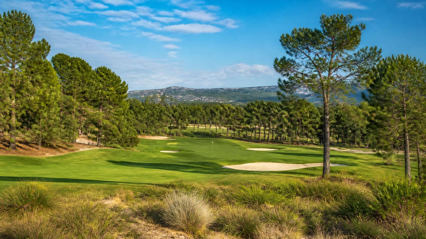 Authentic travel photography of a pristine golf course with vibrant green fairways, tall pine trees, and a clear blue sky in bright natural light.