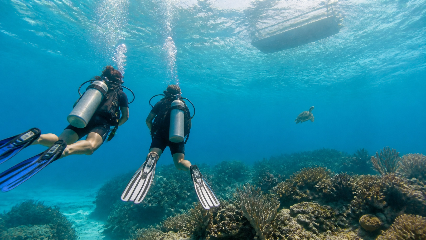 Two divers drifting above a colorful Caribbean reef in clear turquoise water