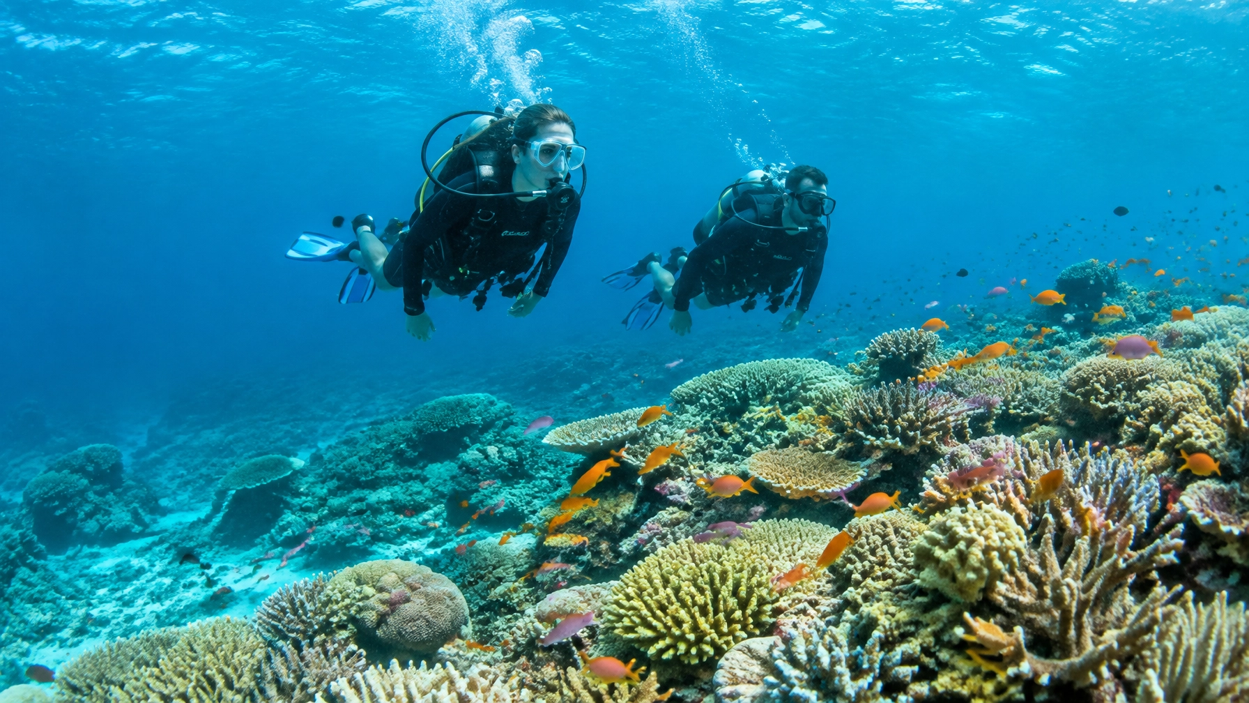 Two scuba divers gliding above a colorful Maldives coral reef