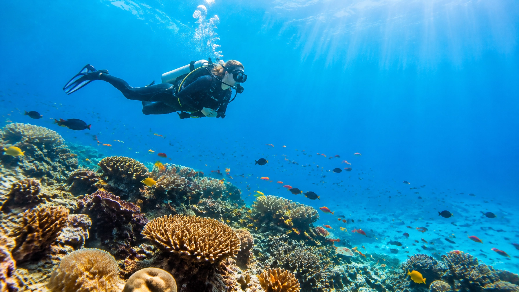 Scuba diver gliding above a bright Maldivian coral reef in clear blue water